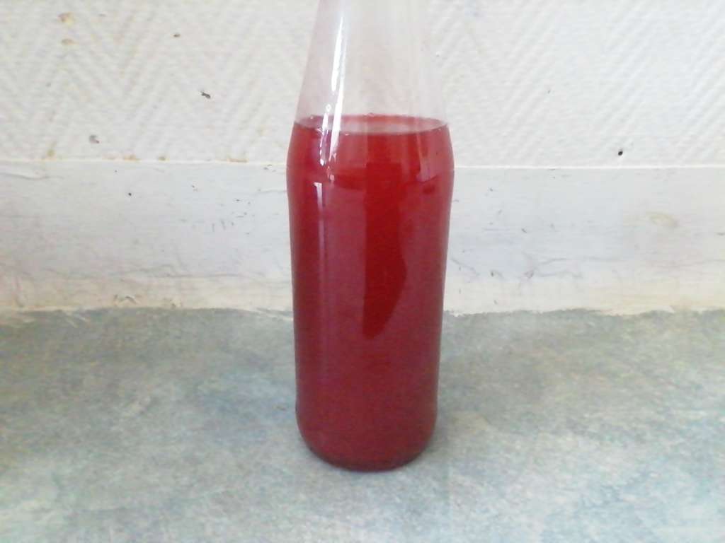 Sirop de framboise d'Alissya